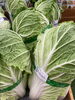 白菜「白菜・カリフローレ・赤カブ　　　　　　　新鮮野菜　　　　　　鉾田市直売所」