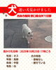 「【西条市飯岡 野口集会所付近】迷い犬を見かけました（2025年10月23日 目撃情報あり）」