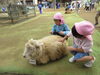 動物にタッチ💖「五感を使って楽しんだ成田ゆめ牧場遠足🐄🌤」