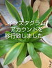 詳細ボタンより新アカウントへ行けます。「新インスタグラムアカウントへ移行しました。 」