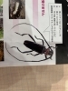 クビアカツヤカミキリってこんな虫「サクラ・ウメ・モモの大敵！クビアカツヤカミキリ被害にご注意ください」