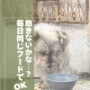 「うちの子、毎日同じもの食べてて飽きないのかな？」🤔もしかして食べムラって"飽き"のせい？？