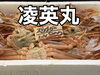 「本日も営業致します」