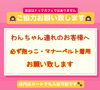 「店内ルールについてのご案内」