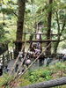 かずら橋「【事務の独り言】人間らしい仕事って」