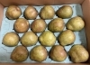 山形ラ・フランス🍐入荷しました🎵「秋も深まり、お店にはさまざまな旬の味覚が並び始めました🍂💛　枚方ビオルネ北館地下1階　新鮮果実 日野屋」