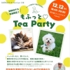 動物好き限定♪独身交流会