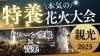 特養　花火大会「秋の夜空に笑顔咲く！特養・親光で花火大会を開催（川口市）」
