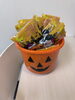 「ハロウィン仮装ウィーク開催中！教室にカボチャバケツとお菓子が登場」