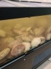 「 水槽で管理された生ホタテが！」