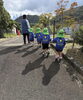 「柚木ふれあいの森公園🍀」
