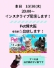 「本日！インスタライブ配信🐶✨」