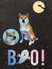 「Dog salon mofu mofu　余市町」