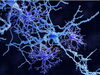 ネイチャーダイジェストより アストロサイト画像「🧠 脳は6か月で止まらない。——神経の時間で見る“回復”のしくみ」