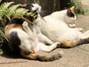 「日常でできる冷え対策3選！体の巡りを整えて冬を元気に💪🐈🐾🐾」