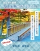 今がちょうど見頃です✨「紅葉が見頃！🍁蓼科湖の遊歩道をつくったのはカネトモなんです！【おすすめの建設 会社（茅野市）求人募集中！】」