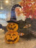 ハロウィン装飾「水槽もHappy Halloween/アクアリウムのレンタルはアクアデザインブルース/」
