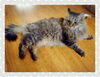 「連休に身体スッキリさせませんか！足つぼも大好評☆」