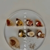 【11/19(水)15:00〜完全予約制】8種の個性派バスチーを食べ比べる会開催！