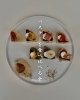 11/19(水)15:00バスチーを食べ比べる会「【11/19(水)15:00〜完全予約制】8種の個性派バスチーを食べ比べる会開催！」