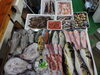 「📣本日のお魚情報🐟」