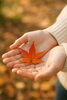 「🍂 11月は「本格的な冷え」が始まる前の準備期間｜明日11月2日(日)12:00～ご予約受付中」