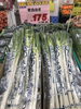 「本日は GO GOセール！釧路スーパーヒロセ」