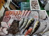 「 📣本日入荷のお魚情報🐟   」