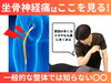 「お尻から太ももが痛い理由｜坐骨神経痛の鍵は「筋膜」と「神経」にあった！【松江・出雲・米子・整体・根本改善】」