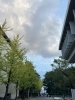 松山市民会館付近にて「🌙 一日の終わりに、少しだけ空を見上げました。」