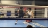「ハンドミット🥊リベラルボックスジム！岡山市東区ボクシング・キックボクシング・フィットネス・パーソナルナルジム」