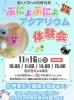 人気のイベント再び開催🧡「ぷにょぷにょアクアリウム体験会」