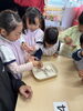 「八女市で保育園をお探しの保護者様へ　園長先生の生き物触れ合い教室🐟」