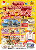 「11/16（日）ピコリンこどもフェスティバル2025に出店します！」