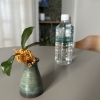 「秋の水分不足に要注意。」