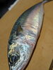 「【魚も酒も自ら厳選する瑞江の小料理屋】」