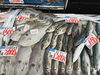 「鮮度抜群！舞鶴かね和の鮮魚コーナーは旬の魚が盛りだくさん！」