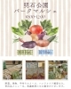 明石公園　パークマルシェ「11月8日・9日は明石公園へ！朝採れ野菜や雑貨が並ぶパークマルシェ開催」