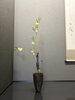 「三種生🎈」