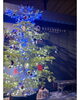 「【船橋市の植栽ならおまかせください】来年のクリスマスは本物の「もみの木」と。家族と共に“育てる”シンボルツリー」