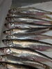 「【魚も酒も自ら厳選する瑞江の小料理屋】」