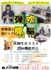 「音楽で楽しく脳トレ！指体操や声トレで心も体も元気に♪」