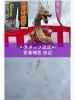 歴史ある『朝比奈大龍勢』！大迫力の空に昇る龍🐉「【藤枝市】2年に1度の朝比奈大龍勢レポ！静岡の伝統文化と住まいの魅力をご紹介🎆」