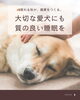 「🍂眠れる秋が、健康をつくる。 大切な愛犬にも、質の良い睡眠を。」