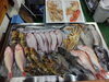 「📣本日のお魚情報🐟」