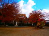 上山田中央公園「🍁紅葉の様子Vol.3🍁【戸倉上山田温泉　有田屋旅館　長野県　紅葉旅】」