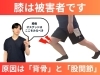 「数年ぶりに「膝の痛み」なくしゃがめた理由｜専門家の意見は「膝はただの被害者です」【松江・出雲・米子・整体・根本改善】」