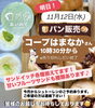 「１１月１２日はパン販売日♪」