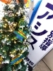 「塾の入り口に、ひと足早いクリスマスツリーを飾りました【習志野市立大久保小から徒歩4分の新・個別指導アシスト習志野校】」