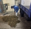 寝室の清掃「ゾウ🐘はウンチも重いゾウ！」